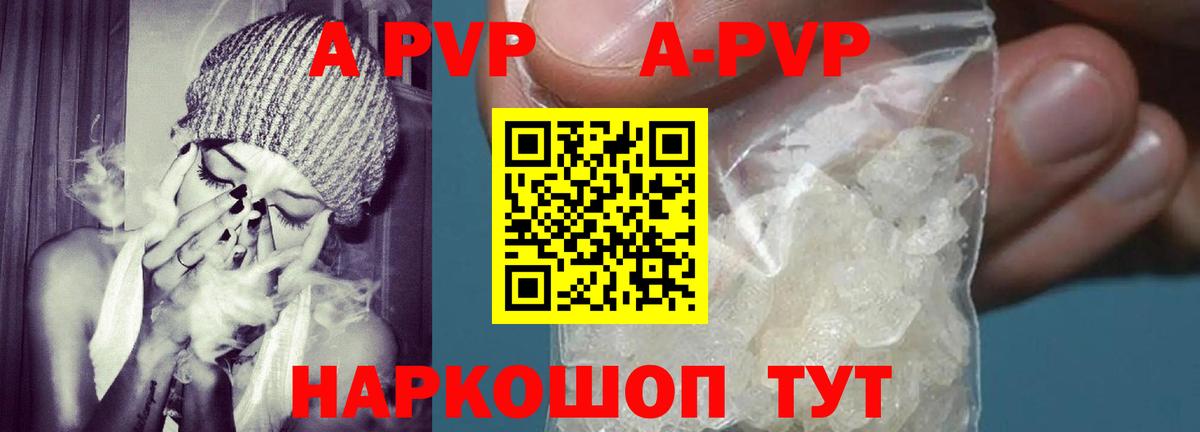 APVP СК КРИС Шали