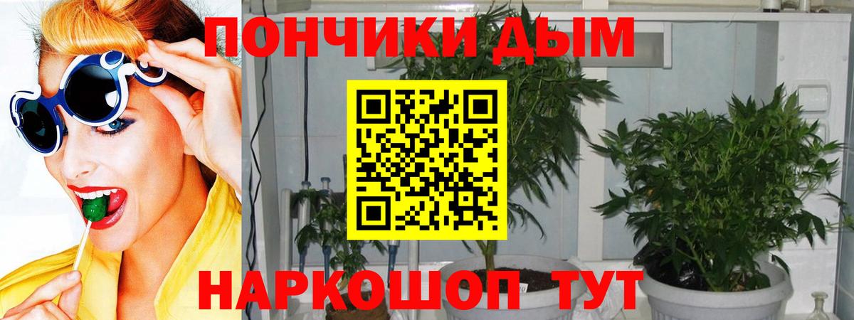 Шишки марихуана ГИДРОПОН  МАРИХУАНА план  Шали  МАРИХУАНА семена  Вход с VPN 